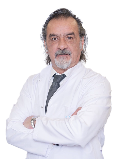 Prof. Dr. Mehmet Volkan Aydın