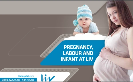 EN Liv Pregnancy Introductory Publication