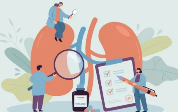 A Guide To Cross Matching For Kidney Transplant