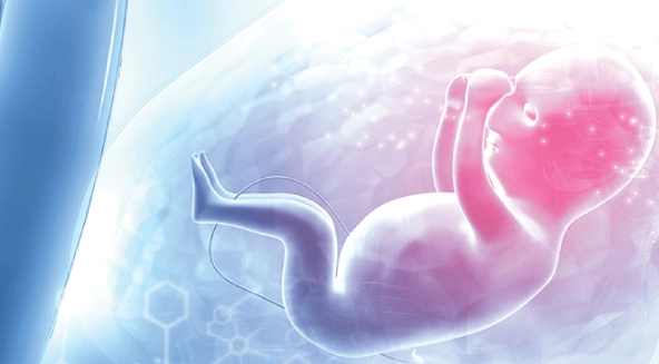 Fetal Intervention in the Womb