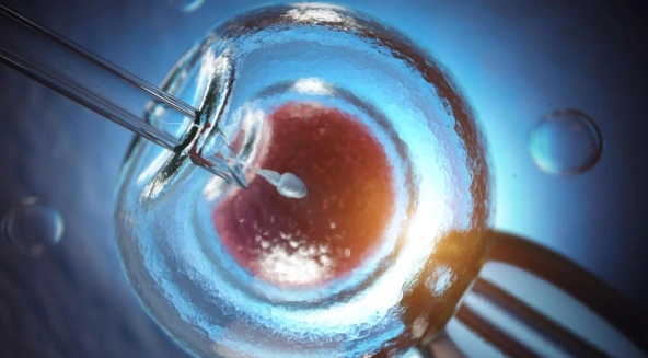 What is In Vitro Fertilization (IVF)? How is IVF Performed?