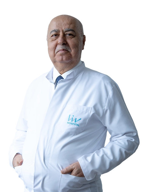 Prof. Dr. Nihat Egemen