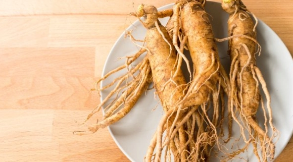 Ginseng Nedir?